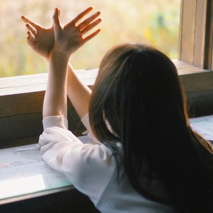 美国鼠谭4：寻找夜中的野兽